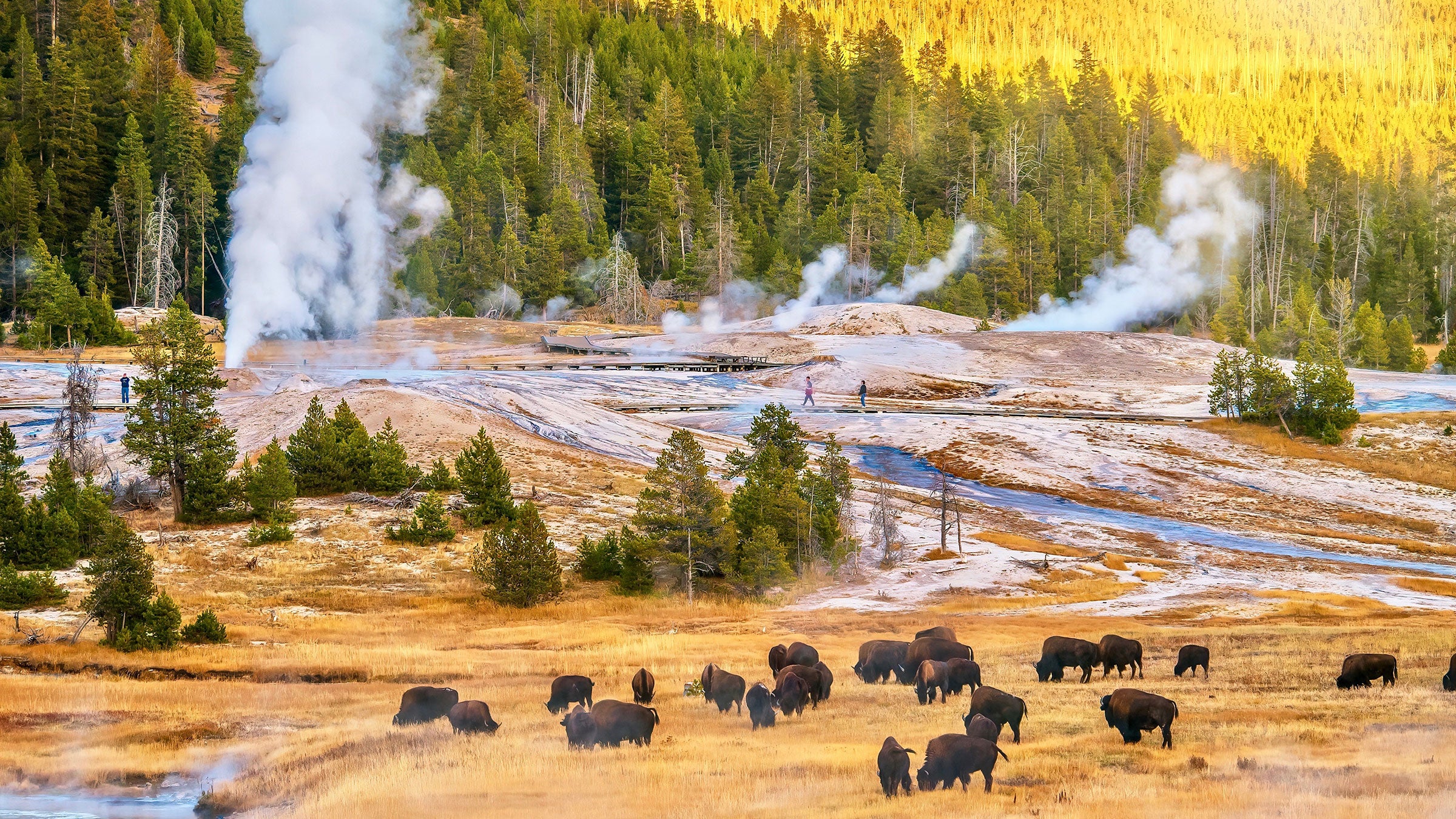 Beyond Old Faithful: Explore Yellowstone's Stunning Geyser Basin